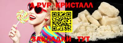 спайс Гай