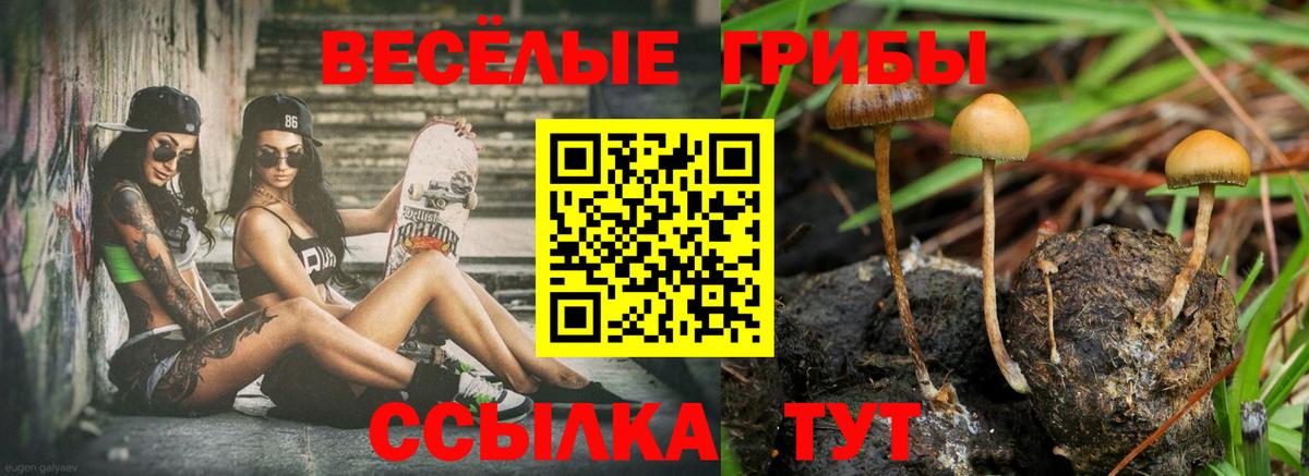 Назарово  Псилоцибиновые грибы ЛСД  Псилоцибиновые грибы Cubensis  Вход с VPN 